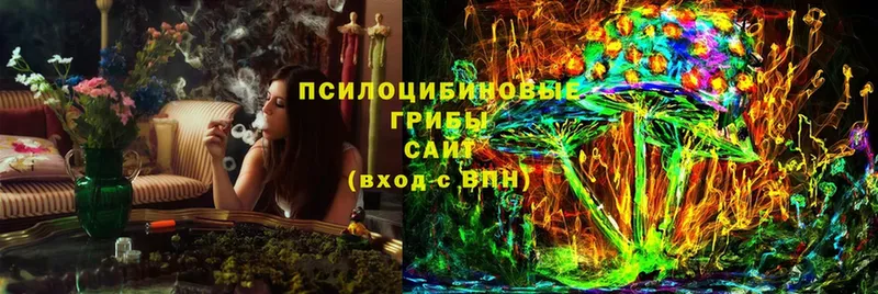 Псилоцибиновые грибы Cubensis  Полтавская 